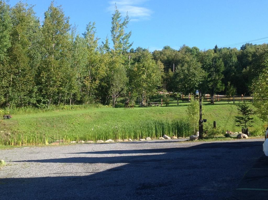 Auberge La Cote D'Or Petite-Riviere-Saint-Francois Eksteriør billede